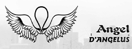 brand logos - D'ANGELUS
